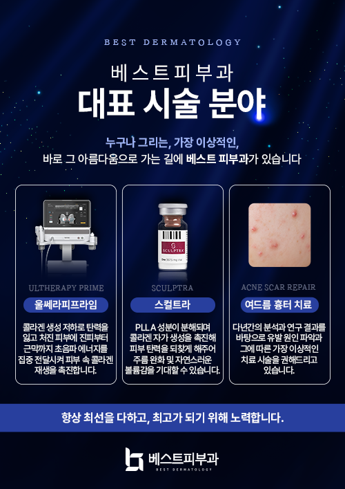 대표시술분야