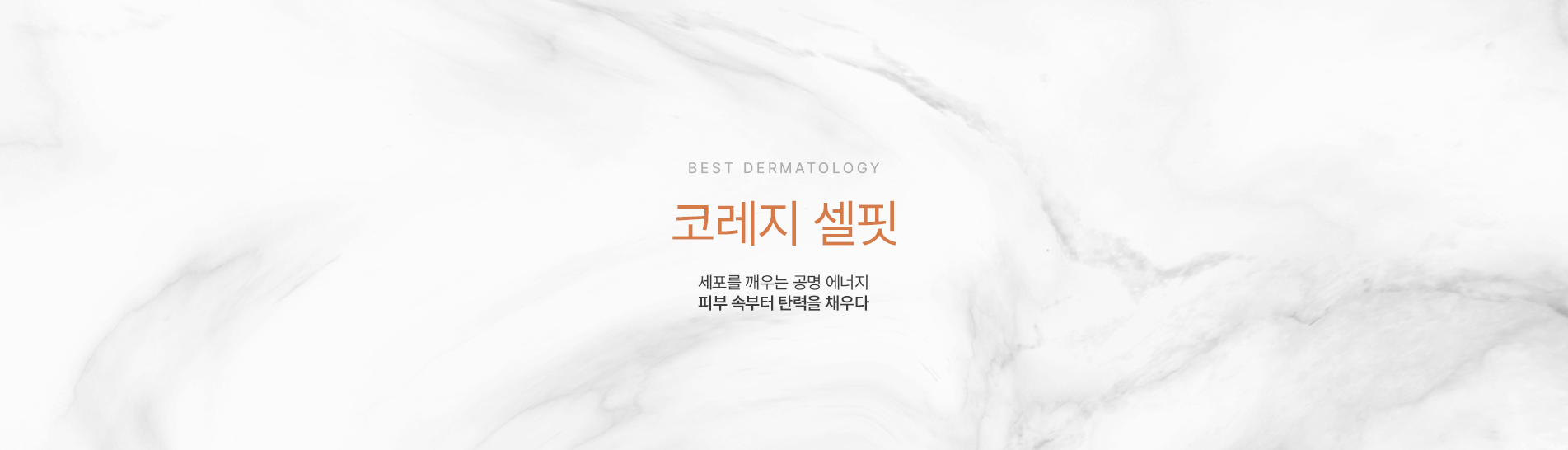 코레지셀핏 상단