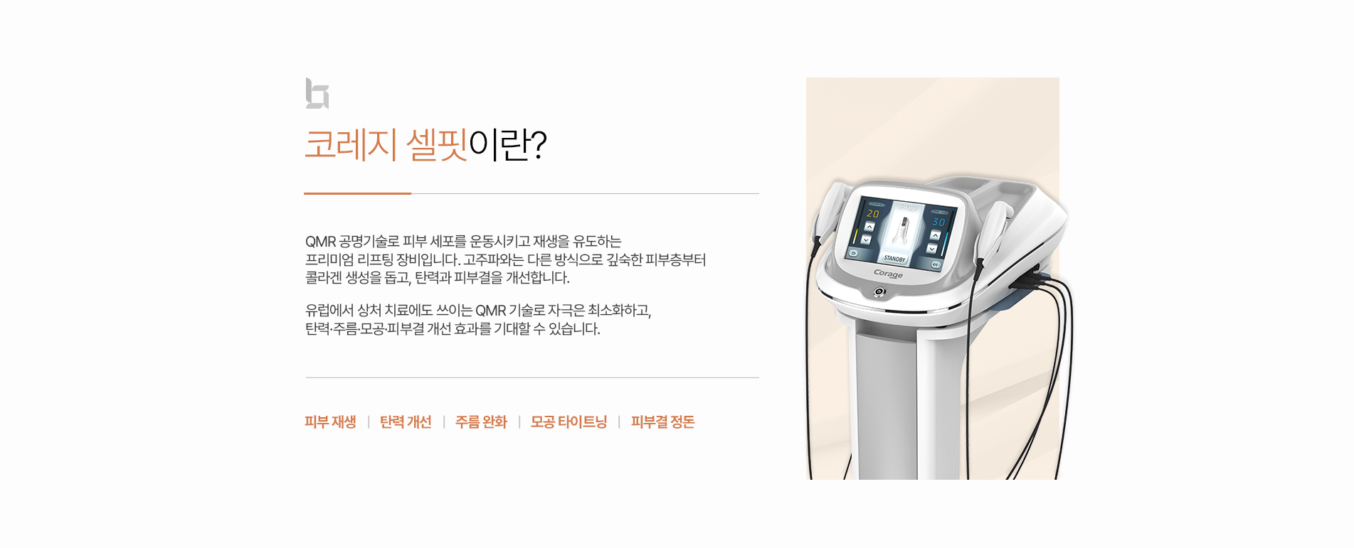 코레지셀핏?