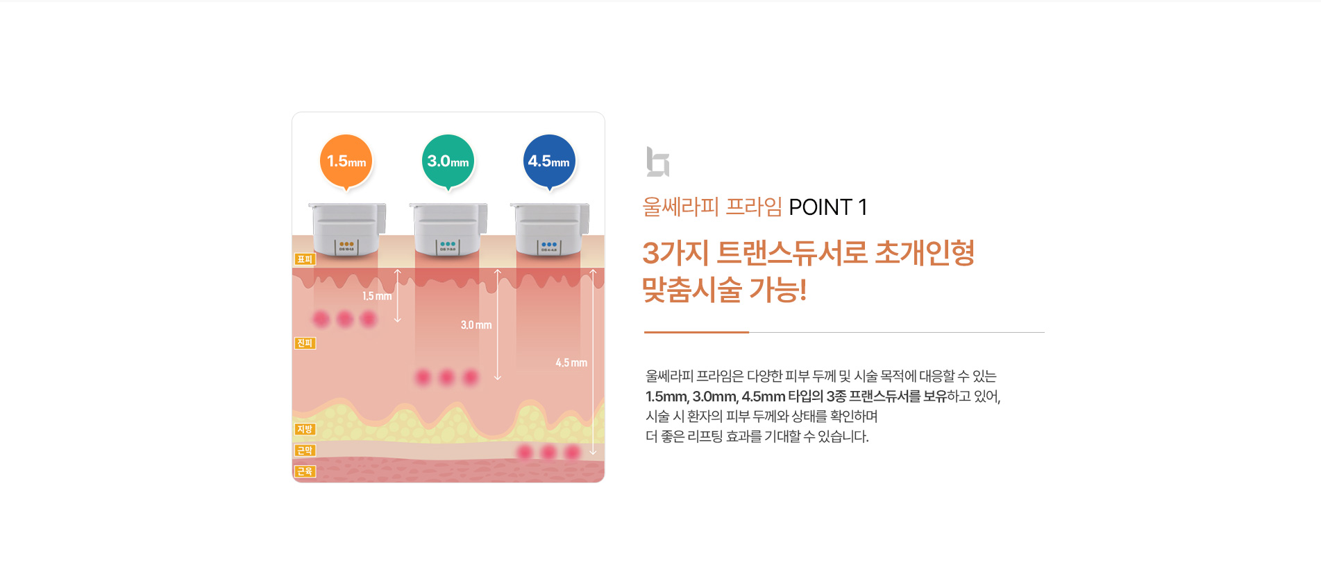 울쎄라피 포인트1