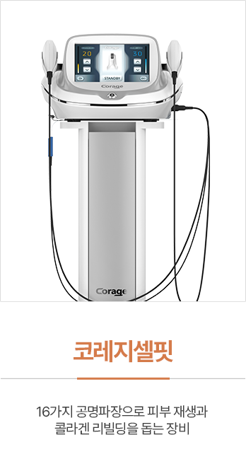 코레지셀핏