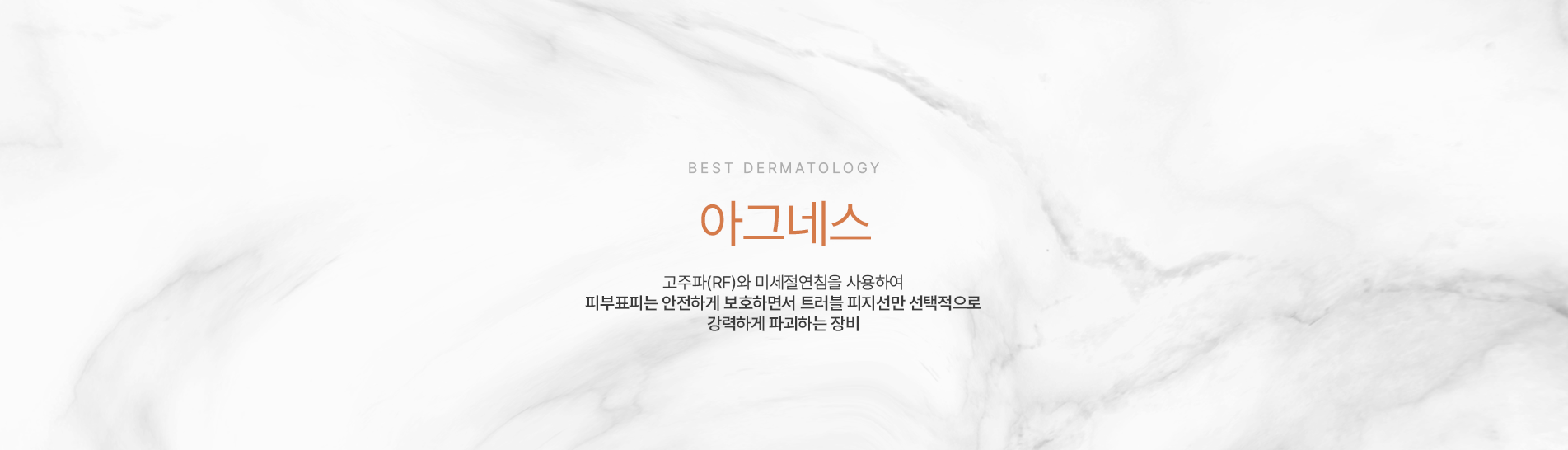 아그네스 상단